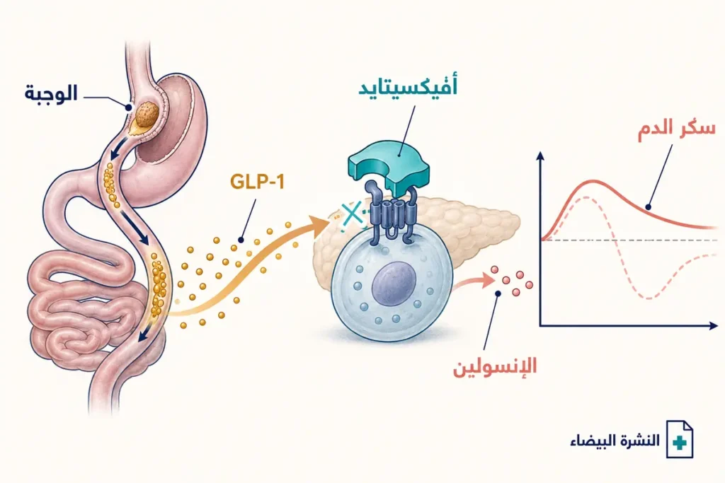 كيف يعمل أفيكسيتايد على مستقبل GLP-1 لتقليل هبوط السكر بعد تحويل المسار
