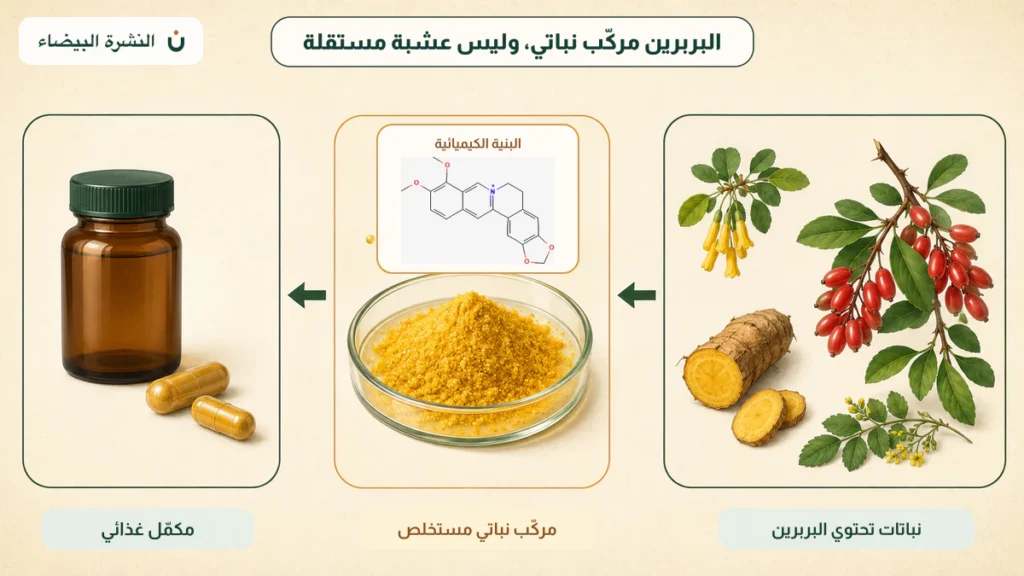 مخطط يوضح أن البربرين مركب نباتي ينتقل من نباتات تحتويه إلى مستخلص ثم مكمل غذائي