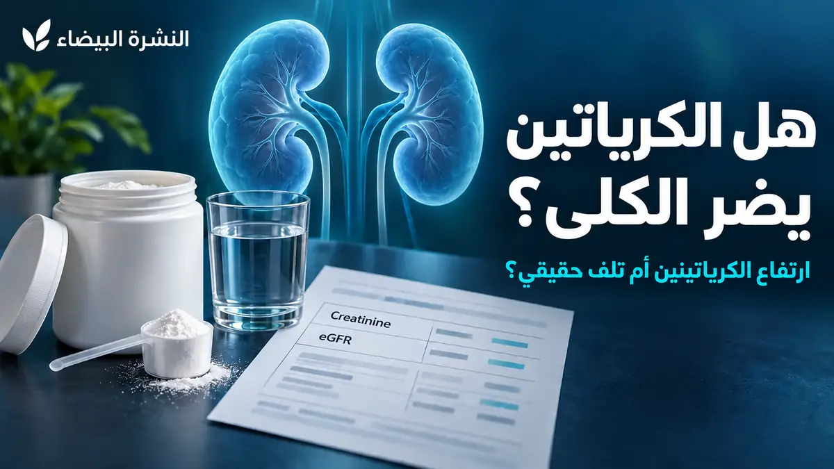 هل الكرياتين يضر الكلى؟ عبوة كرياتين بجانب تحليل الكرياتينين وeGFR ورسم توضيحي للكليتين