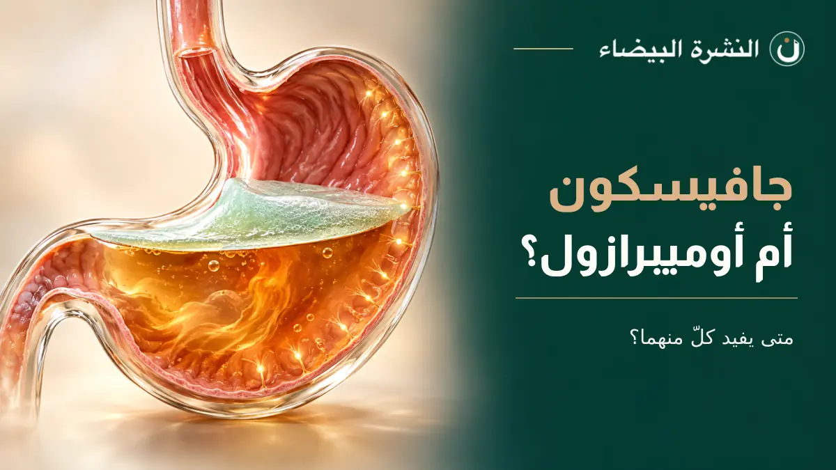 جافيسكون أم أوميبرازول؟ رسم لمعدة تظهر فوق محتوياتها طبقة عازلة من الألجينات